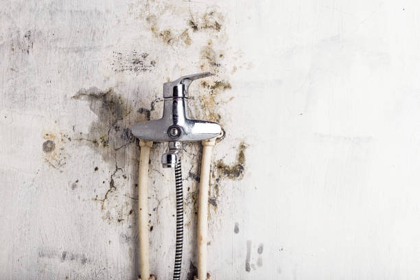 Best Emergency Mold Removal  in Esparto, CA