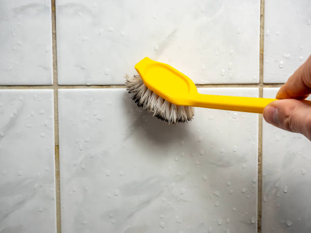 Best Same-Day Mold Removal  in Esparto, CA