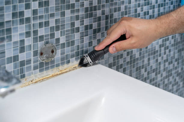 Best Fast Mold Removal  in Esparto, CA