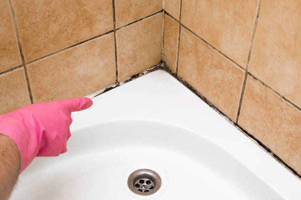 Best Professional Mold Removal  in Esparto, CA